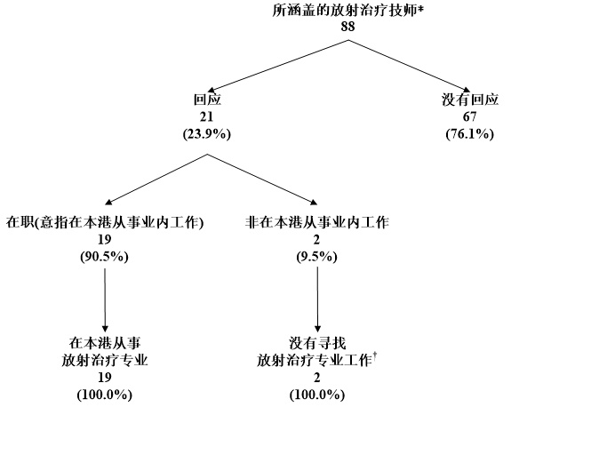 图乙:	所涵盖放射治疗技师的经济活动身分